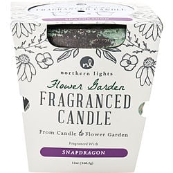 Flower Garden Snapdragon By