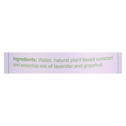 Rebel Green - Glass Cleaner Spray Lavender & Grapefruit - Case Of 4-32 Fz
